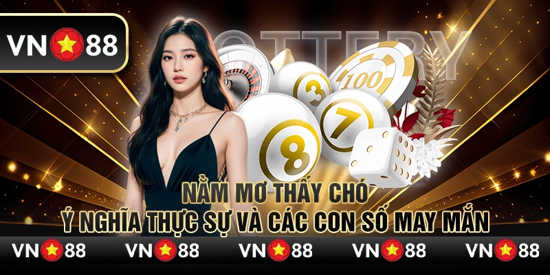 Nằm mơ thấy chó - Ý nghĩa thực sự và các con số may mắn 8 12 Nam mo thay cho Y nghia thuc su va cac con so may man