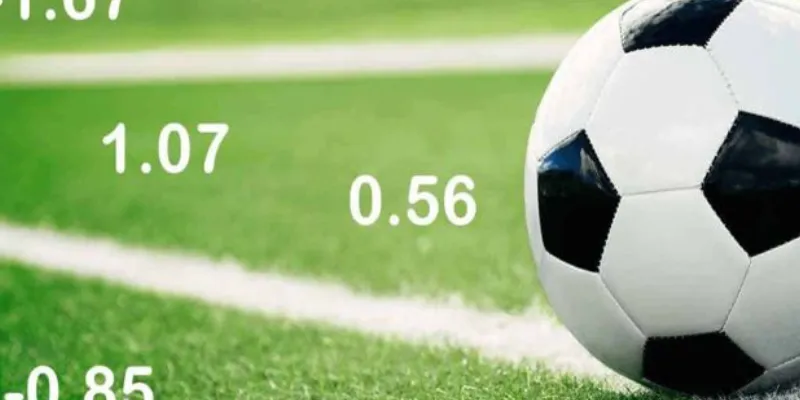 Odds là gì? Cách đọc và tính toán trong cá cược thể thao 4 Những mẹo để tối đa hóa lợi nhuận từ odds trong cá cược thể thao