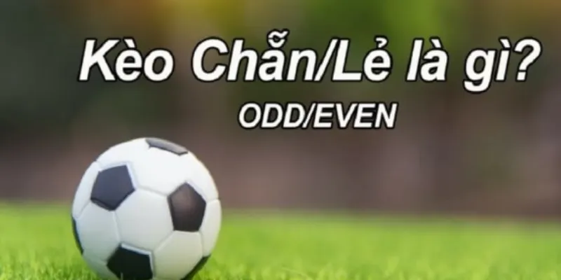 Cách bắt kèo chẵn lẻ - Kỹ thuật giúp bạn luôn giành ưu thế 2 Tìm hiểu về kèo chẵn lẻ trong cá cược